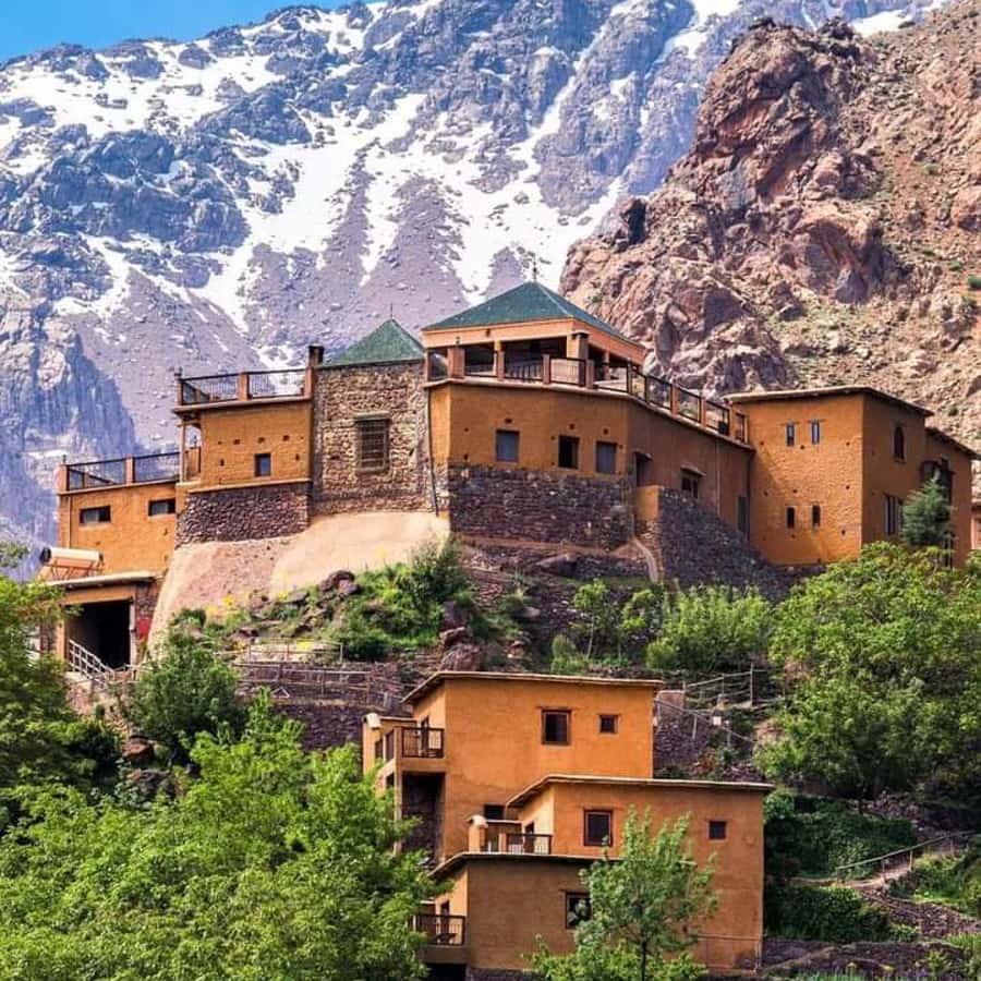 A Day With The Berbers - 3 Valleys Day Trip from Marrakech - A Berber Village Visit That Adds Context