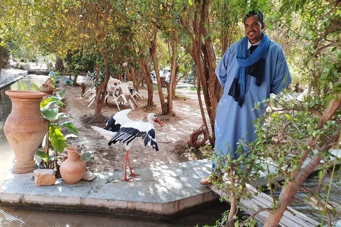 Agadir Day Trip to Taroudant and Tiout Oasis with Lunch - Tiout Oasis: palms, a kasbah, and a slower pace
