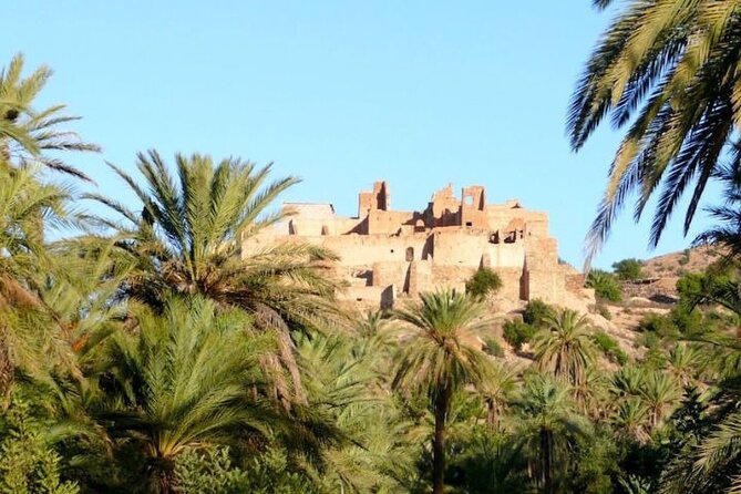 Agadir Day Trip to Taroudant and Tiout Oasis with Lunch - Lunch is a real part of the value
