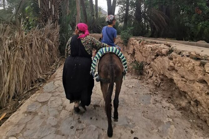 Agadir Day Trip to Taroudant and Tiout Oasis with Lunch - Timing, group size, and cancellation details