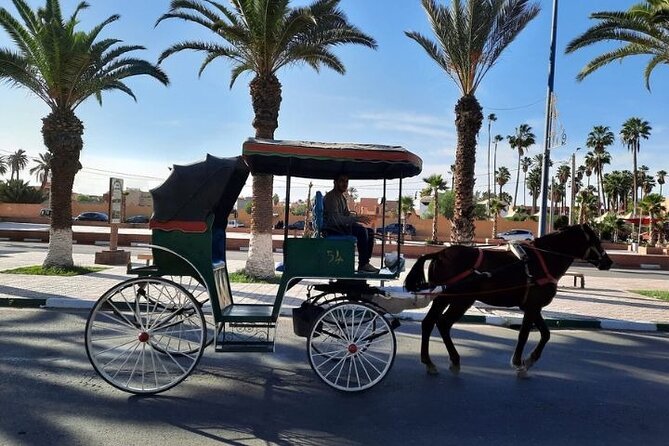 Agadir Day Trip to Taroudant and Tiout Oasis with Lunch - The Taroudant stop: walls, crafts, and souk time
