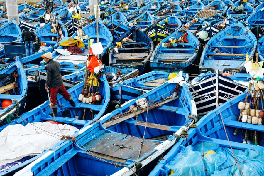 Agadir: Essaouira Guided Day Trip - Key points to know before booking