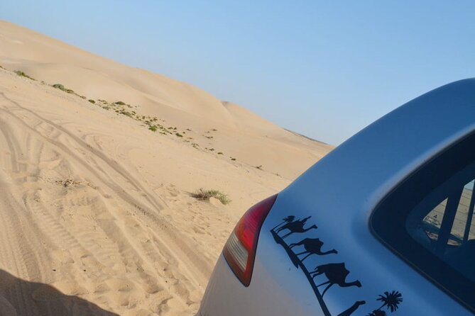 Agadir Jeep Safari Desert Day Trip including Lunch & camel ride - The Camel Ride and Desert Expectations