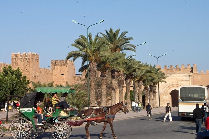 Agadir Morocco: Day Trip To Taroudant & Tiout Oasis with Lunch - A traditional lunch with room for dietary requests