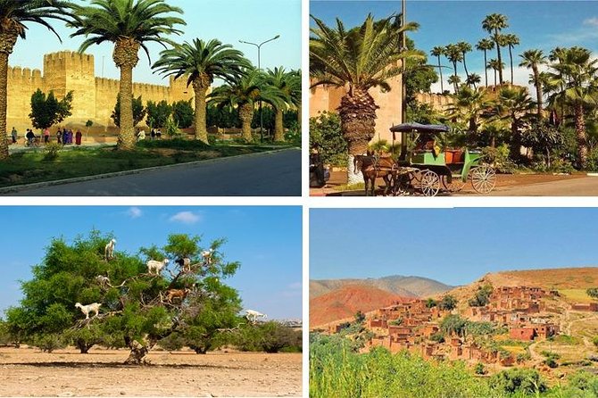 Agadir Morocco: Day Trip To Taroudant & Tiout Oasis with Lunch - The drive inland and the famous argan goats