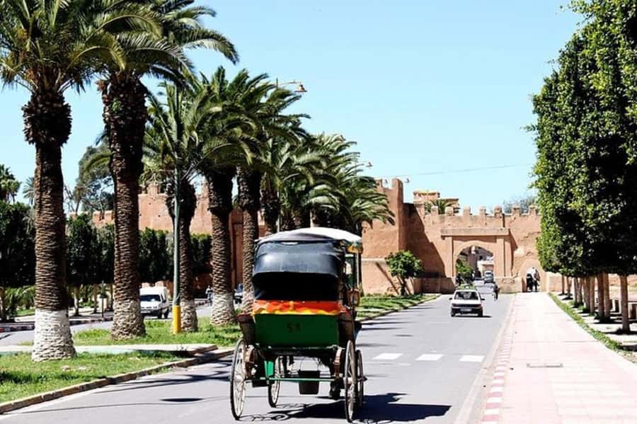 Agadir: Taroudant Oasis and Tiout Day Trip with Lunch Option - Walking through Tiout’s palm oasis