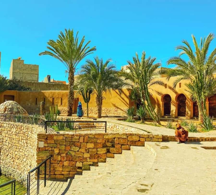 Agadir: Taroudant Oasis and Tiout Day Trip with Lunch Option - The main drawbacks to consider