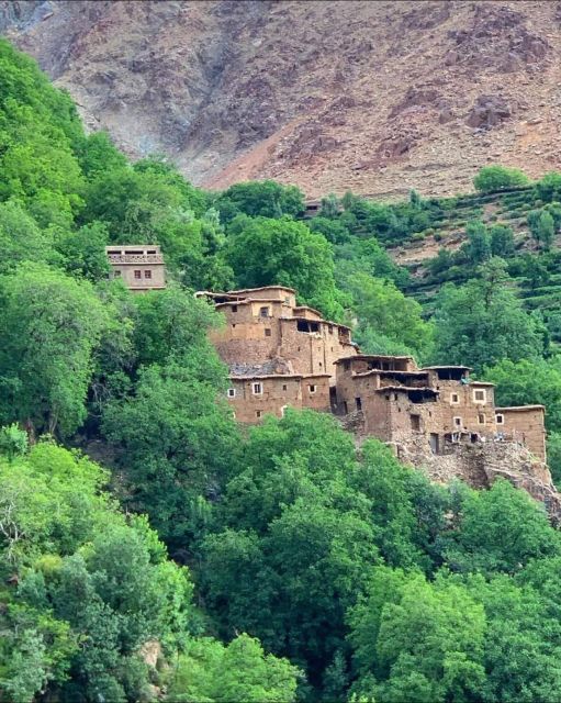 Agafay Desert & Atlas Mountain & Camel Ride Day Trip & Lunch - Who should book this day trip?