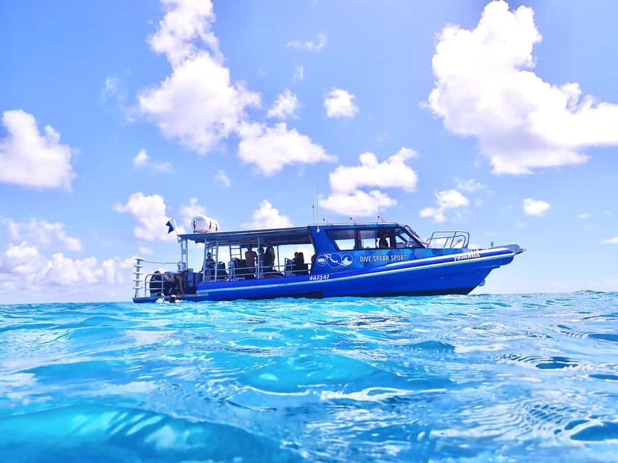 Agnes/1770: Southern Great Barrier Reef Snorkelling Day Trip - Why this small-group reef trip works
