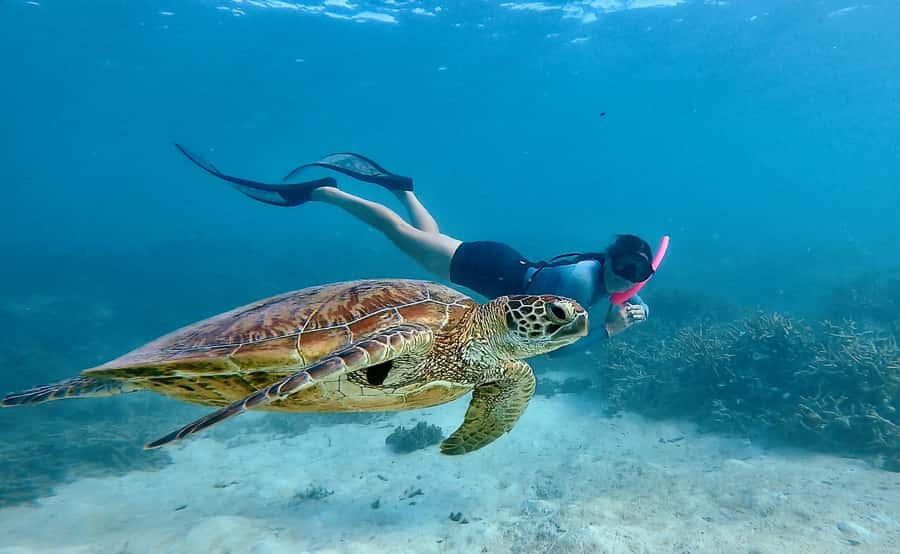 Agnes/1770: Southern Great Barrier Reef Snorkelling Day Trip - Leaving 1770 aboard Yemalla