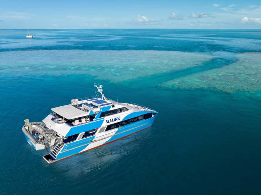 Airlie Beach: Outer Great Barrier Reef Snorkeling Day Trip - What you might see beneath the surface