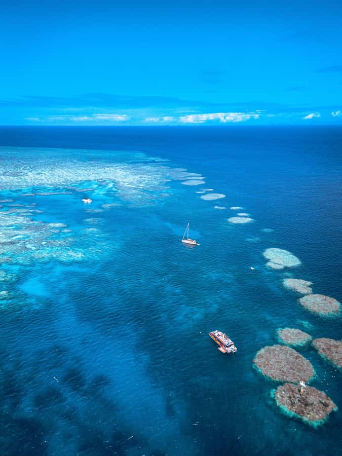 Airlie Beach: Outer Great Barrier Reef Snorkeling Day Trip - Who will enjoy this most?