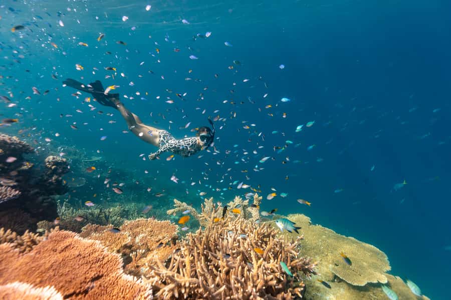 Airlie Beach: Outer Great Barrier Reef Snorkeling Day Trip - Why the catamaran matters on an eight-hour day