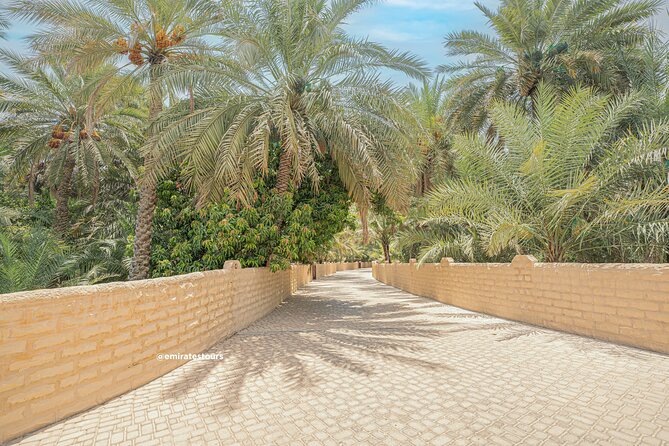 Al Ain Full Day Trip from Abu Dhabi with Lunch - The camel market and livestock stops