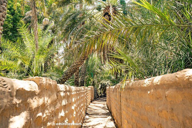 Al Ain Full Day Trip from Abu Dhabi with Lunch - Lunch at a four-star hotel