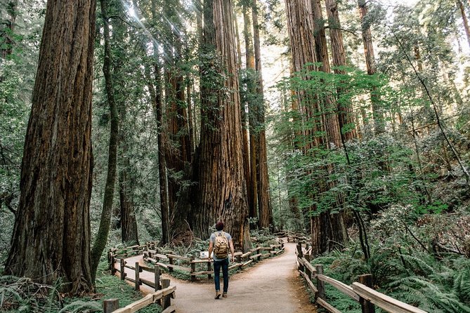 Alcatraz Tour Plus Muir Woods and Sausalito Day Trip - Starting near Union Square and crossing the Golden Gate