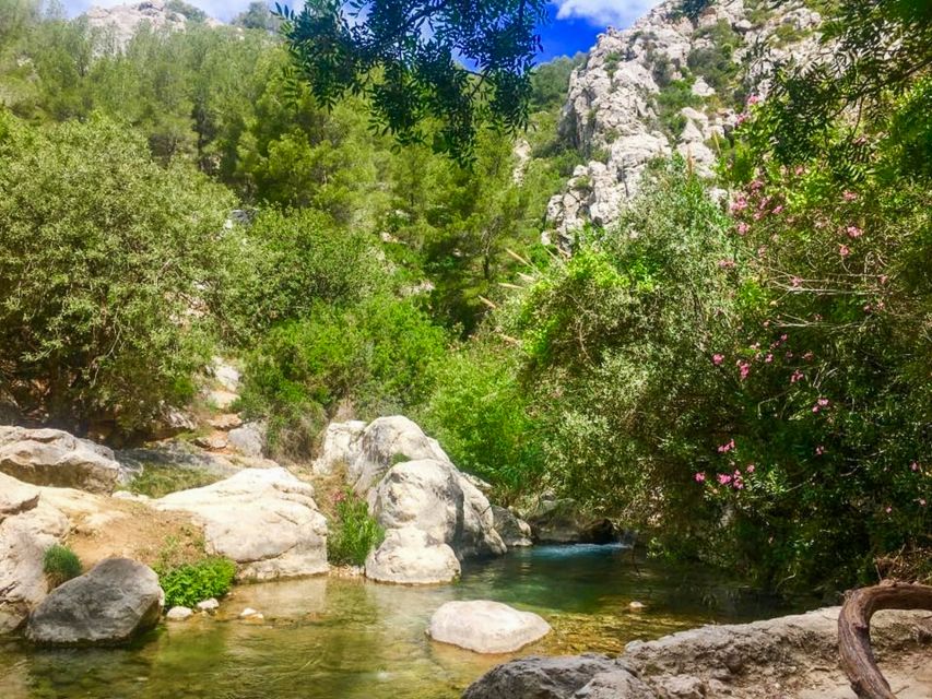 Algar Waterfalls Coach Trip - From Albir & Benidorm - Swimming in the cold mountain pools