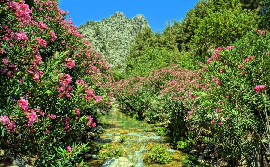 Algar Waterfalls Coach Trip - From Albir & Benidorm - What to pack for Algar Waterfalls