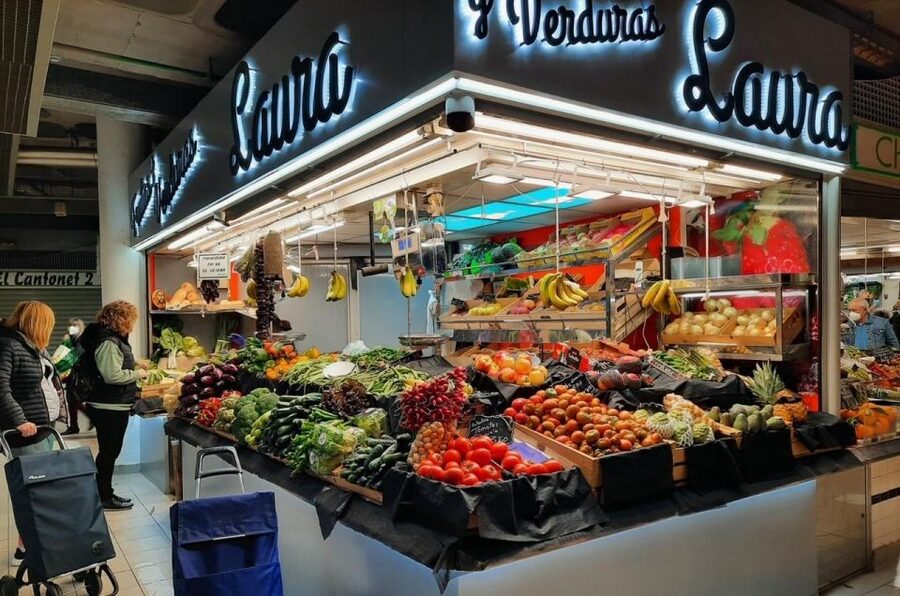 Alicante Discovery Tour - From Albir & Benidorm - Should you book the Alicante Discovery Tour?