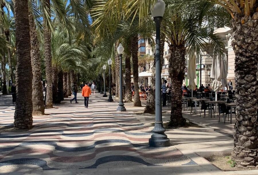 Alicante Discovery Tour - From Albir & Benidorm - Practical ways to use your five hours