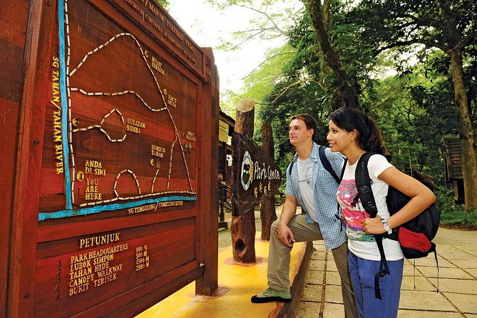 Amazing Taman Negara Day Trip from Kuala Lumpur Including Lunch - Why this Taman Negara day trip is worth considering