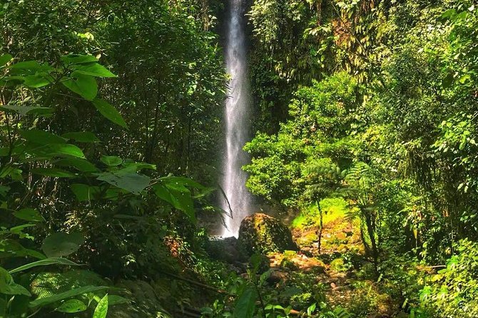 Amazon Tour in Ecuador: Puyo Day Trip from Baños - Hola Vida Waterfall and the forest walk