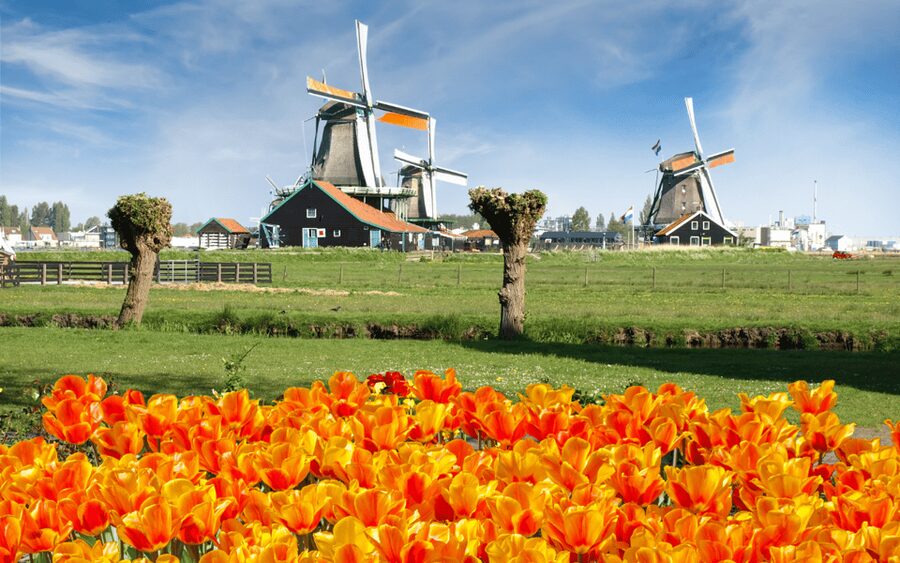Amsterdam: Day Tour Keukenhof and Zaanse Schans Windmills - Starting at This is Holland near Central Station