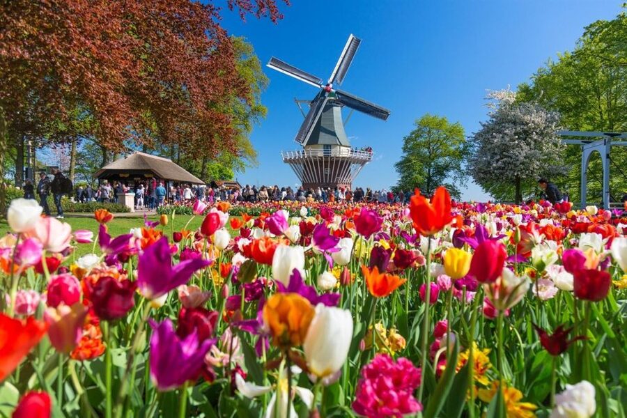 Amsterdam: Day Tour Keukenhof and Zaanse Schans Windmills - Practical advice for a smoother day