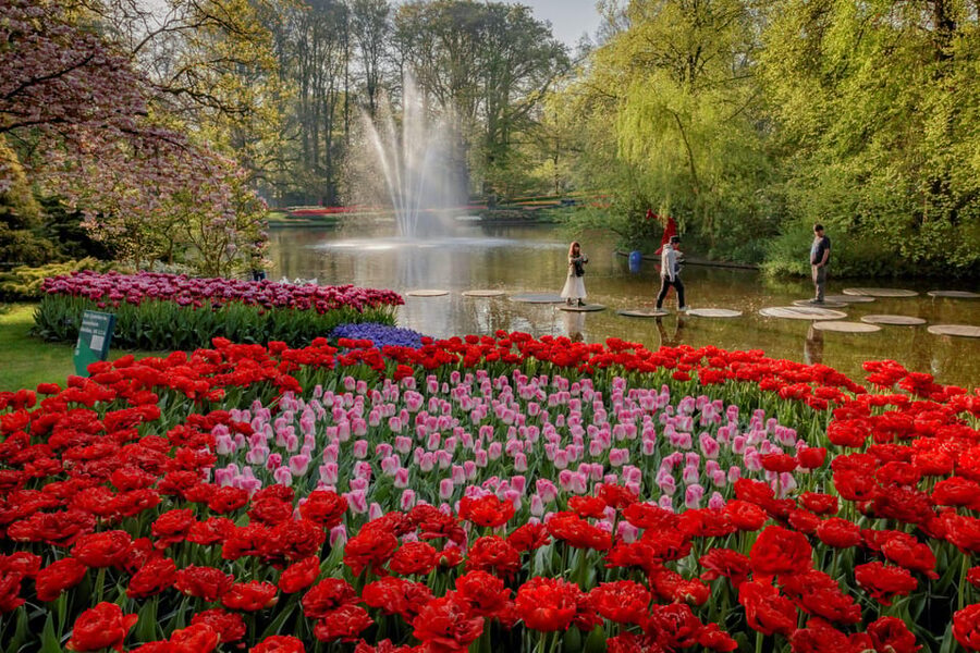 Amsterdam: Day Tour Keukenhof and Zaanse Schans Windmills - Should you book it?