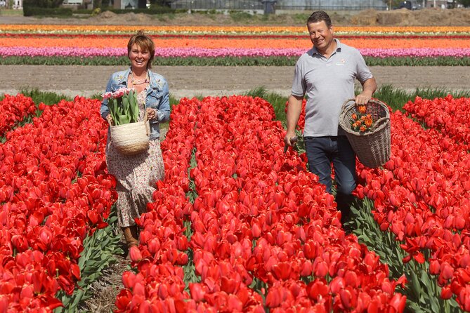 Amsterdam: Day trip to Tulip Farm, Keukenhof + Windmill Cruise - Getting to This is Holland from Central Station