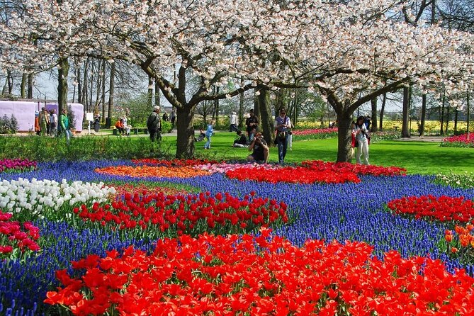 Amsterdam: Day trip to Tulip Farm, Keukenhof + Windmill Cruise - Who will enjoy this day most