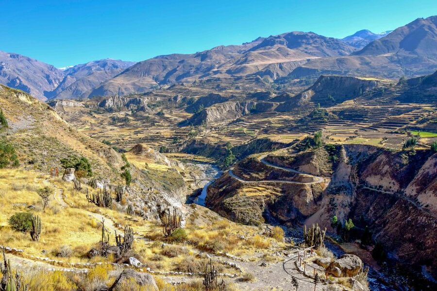 Andes: Colca Canyon Day-Trip - Waiting for the Andean Condor at Cruz del Condor