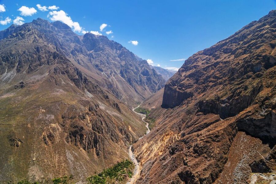 Andes: Colca Canyon Day-Trip - Toqrapampa and Pampa Cañahuas wildlife