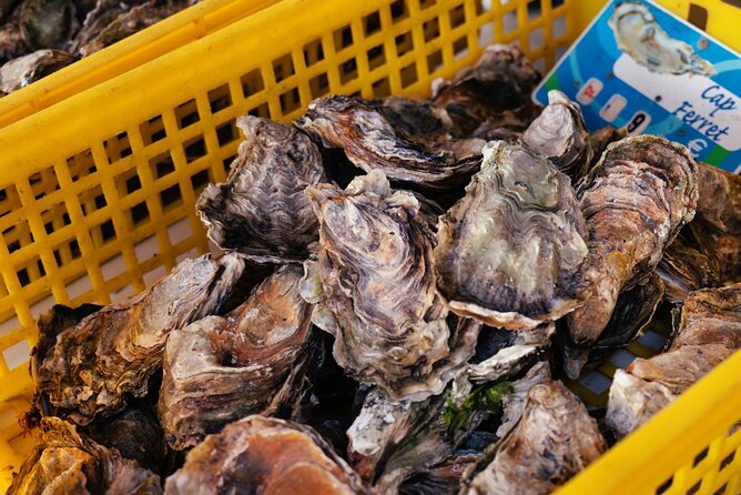 Arcachon Bay Full Day Trip from Bordeaux with lunch and Pyla Dune - Who will enjoy this Arcachon day trip