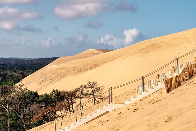 Arcachon Bay Full Day Trip from Bordeaux with lunch and Pyla Dune - Should you book it?