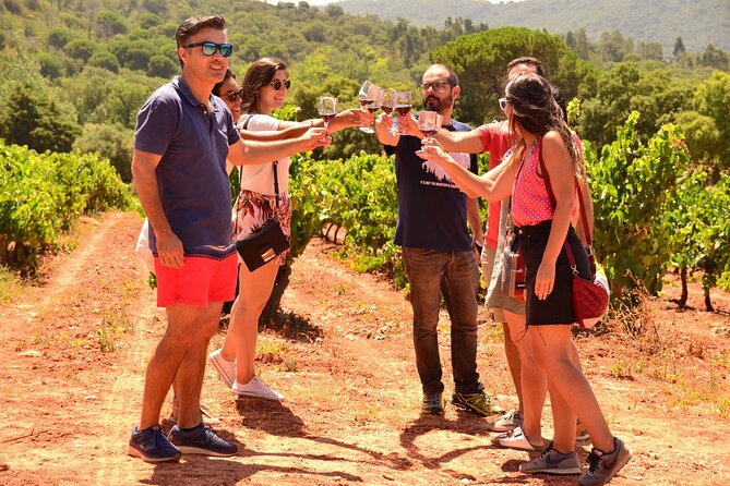 Arrabida and Sesimbra Small-Group Day Trip from Lisbon with Wine Tasting - Lunch and free time in Sesimbra