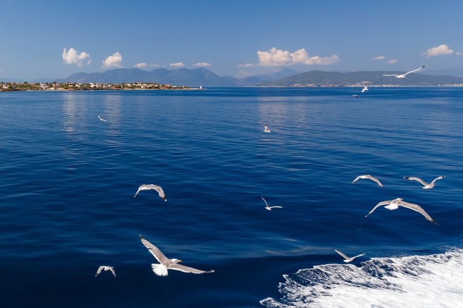 Athens: Guided Day Trip to Aegina Island with Swimming - The guide can shape the whole day
