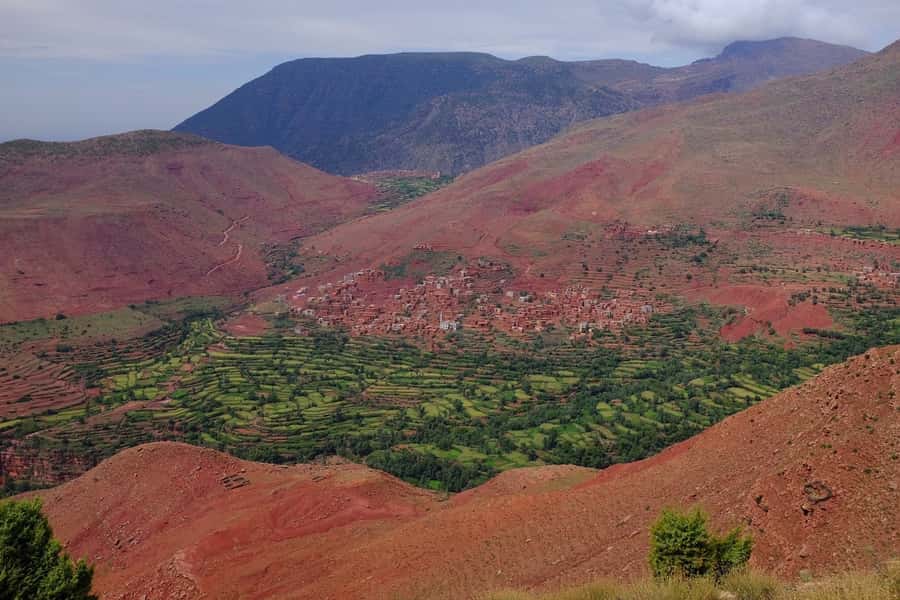 Atlas Mountains and 4 Valleys Day Trip - Lunch in Ait Souka and what you will eat
