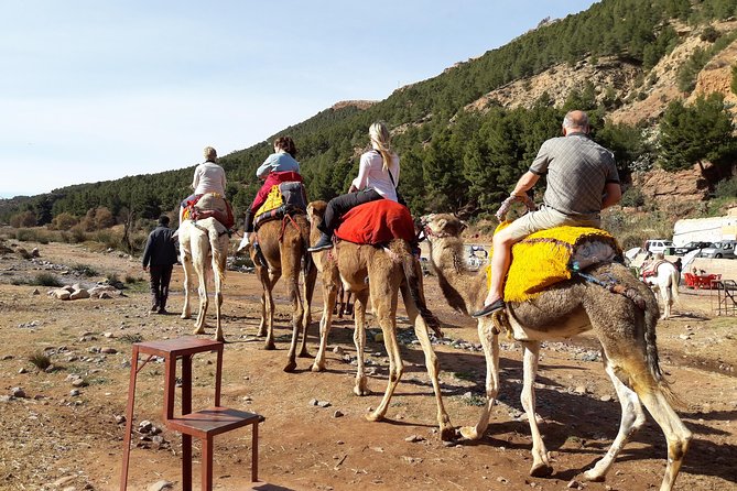 Atlas Mountains and Camel ride Day trip, from Marrakech - From Marrakech to the High Atlas by Morning