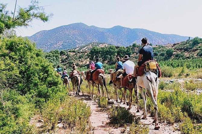 Atlas Mountains and Camel ride Day trip, from Marrakech - The Camel Ride and Berber Dress Stop