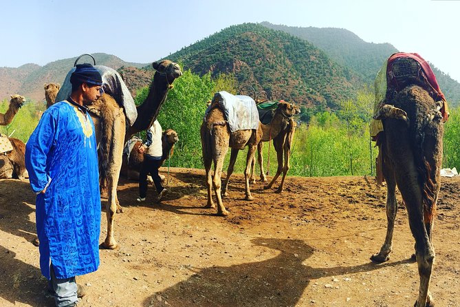 Atlas Mountains and Camel ride Day trip, from Marrakech - A Three-Hour Walk Through Berber Villages