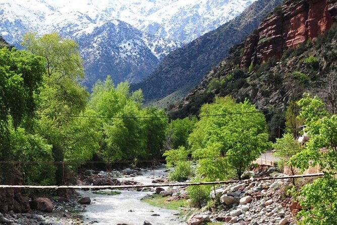Atlas Mountains & Ourika Valley Private Day Trip From Marrakech - The camel ride and possible market stop