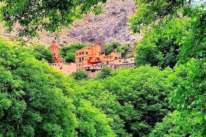 Atlas Mountains & Ourika Valley Private Day Trip From Marrakech - Is $17.45 good value?