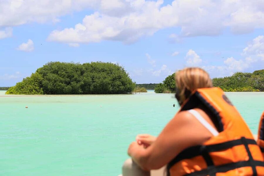 Bacalar: Lagoon, Pirate Canal, Stromatolite Day Trip w/Lunch - Stromatolites, a rare natural feature