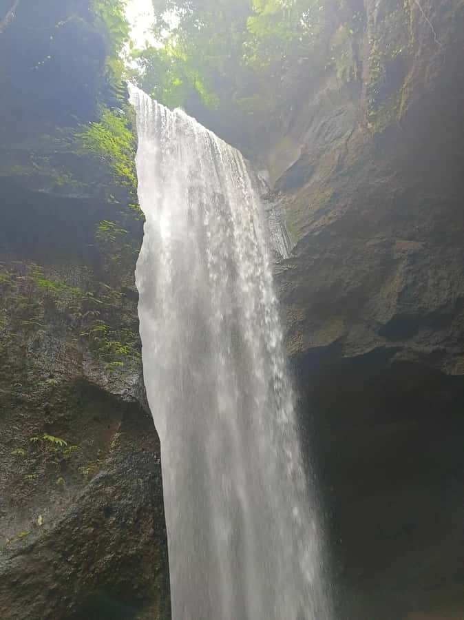 Bali : Day Trip to Besakih Temple & 2 Hidden Waterfalls - Key points at a glance