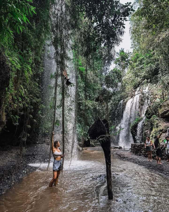 Bali : Day Trip to Besakih Temple & 2 Hidden Waterfalls - Lunch near the rice fields
