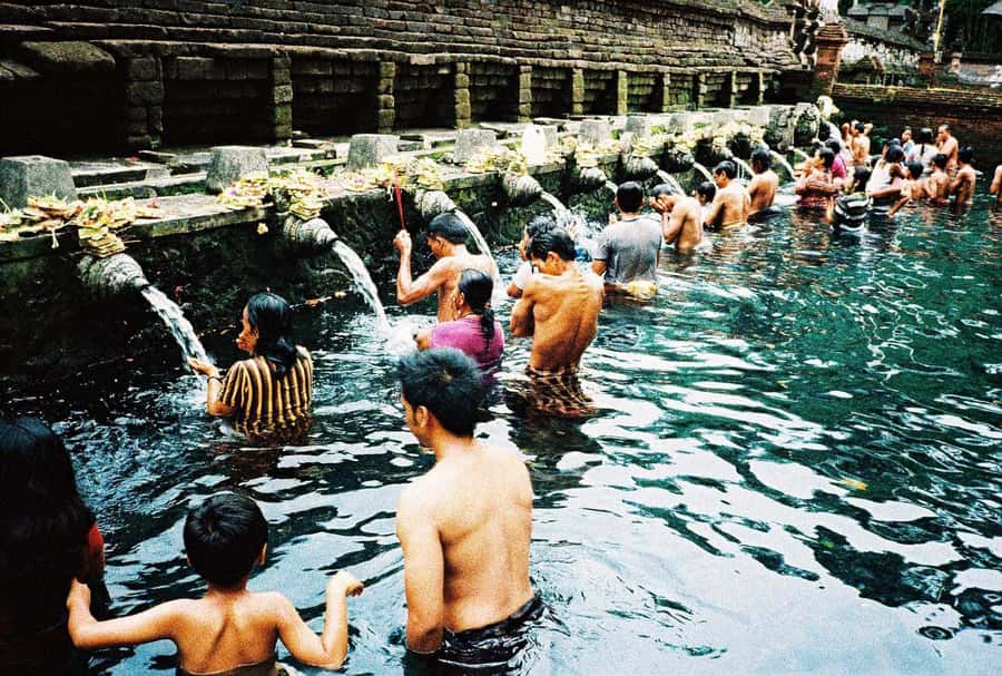 Bali: Full-Day Trip to Penglipuran Village and Bamboo Forest - Tegallalang near Ubud closes the day