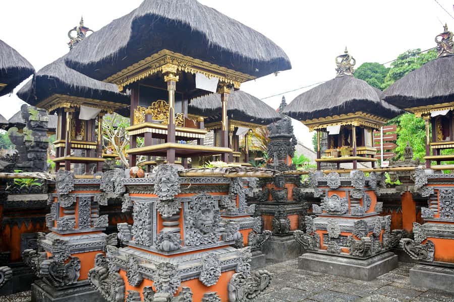 Bali: Full-Day Trip to Penglipuran Village and Bamboo Forest - Guides make the difference