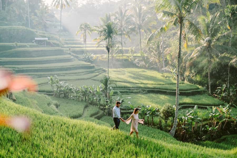 Bali: Full-Day Trip to Penglipuran Village and Bamboo Forest - Who should book this Bali day trip