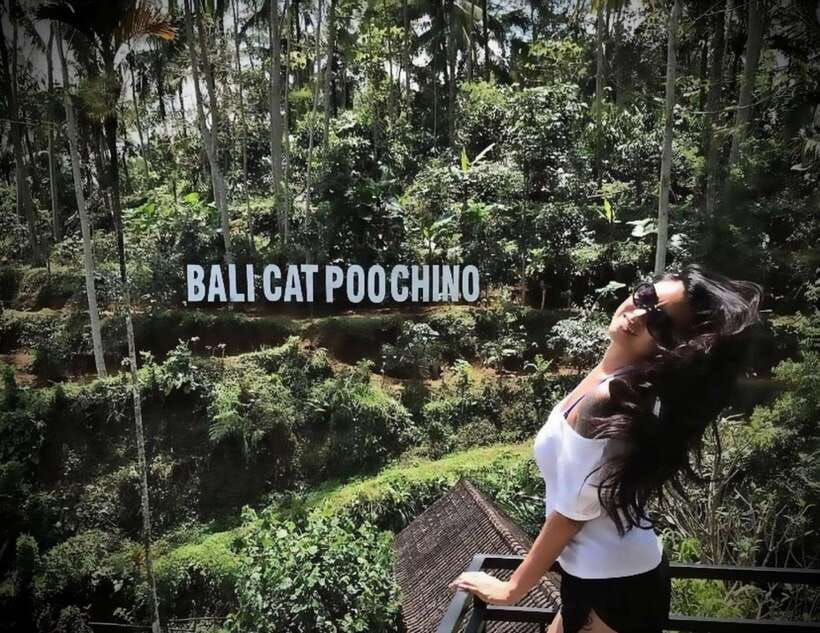 Bali: Private Full day trip Customizable tour - How to build a better one-day itinerary